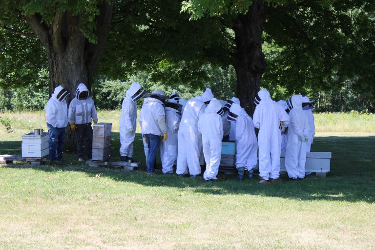 Beekeeping class in Michigan.