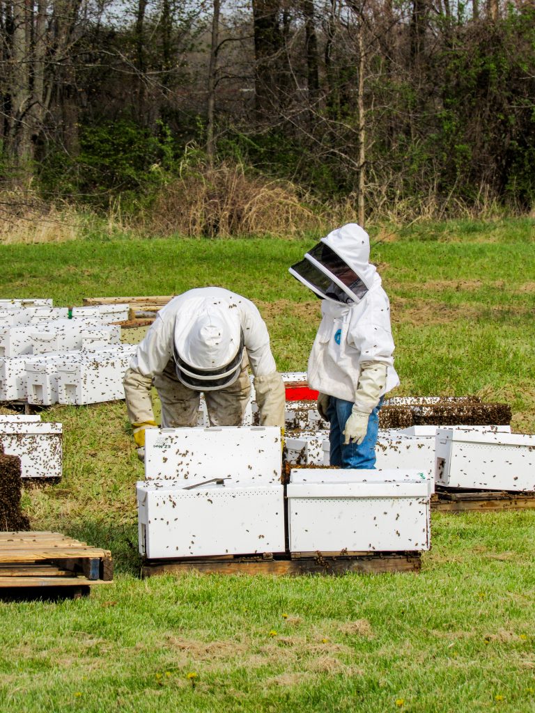 Passing the art of beekeeping on to the next Generation is something we value.